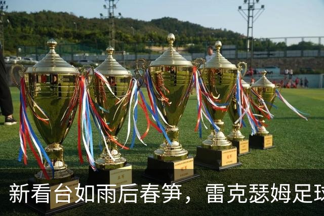 新看台如雨后春笋，雷克瑟姆足球梦即将起飞！